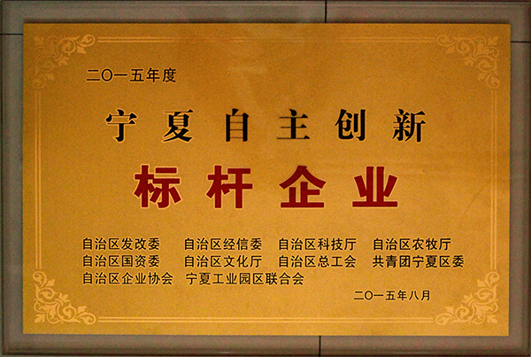 2015标杆企业.jpg